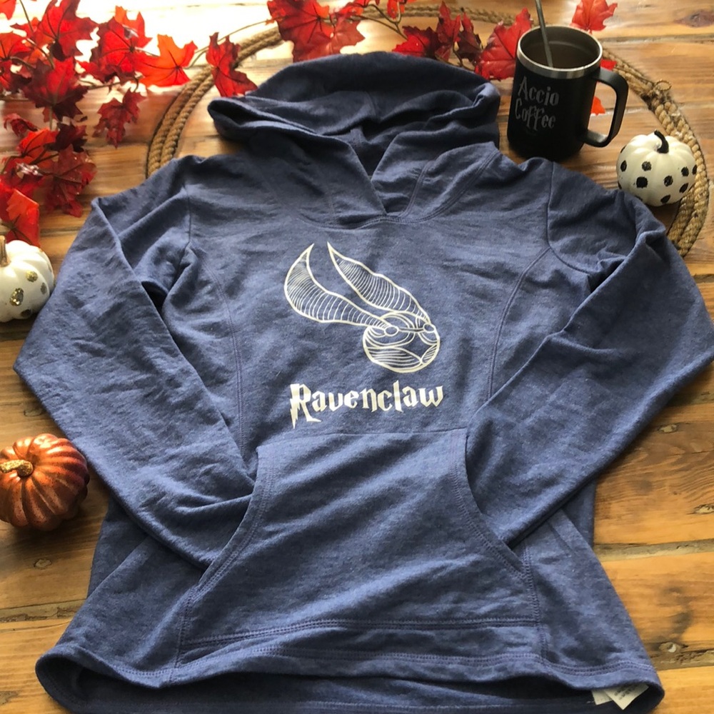 Harry Potter Ravenclaw quidditch Hoodie